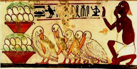 birds-in-ancient-egypt-20-638-e1428158468672